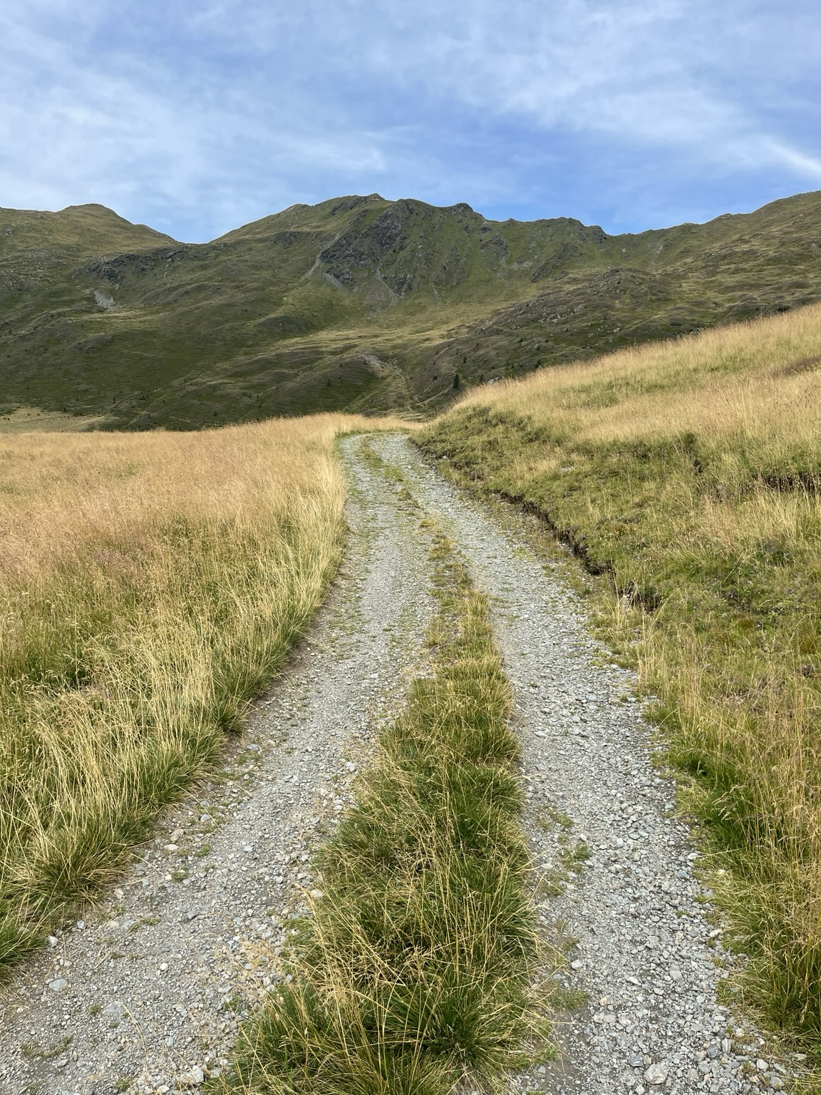 Mountain grasslands and a gravel road
